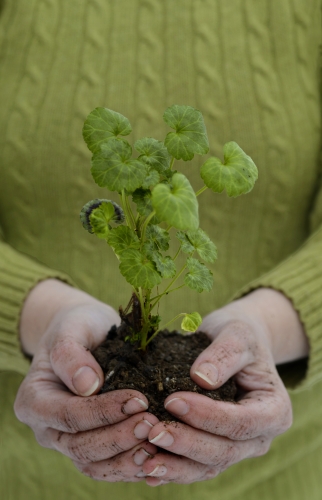 Vårmarknad på Jamtli